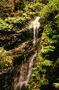 dactai-falls